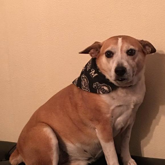 Meet your Posher, Helen - Picture 1 of 1